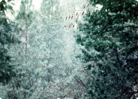 4-97