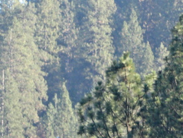DSC01012