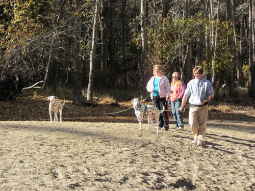 family on the beach