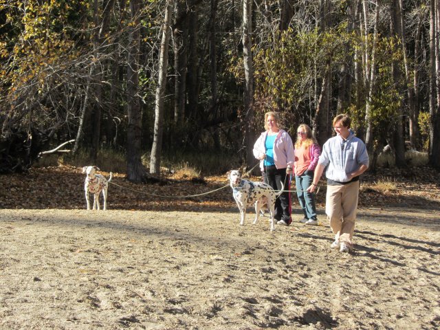 family on the beach