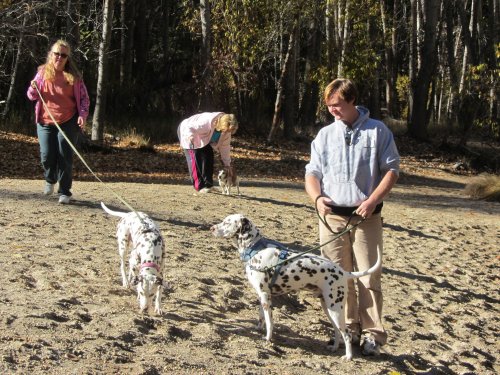 family on the beach