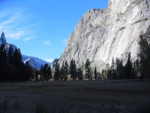meadow in Yosemite