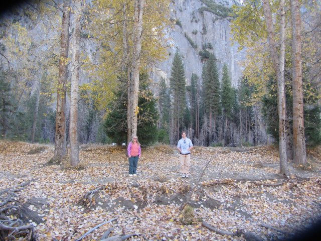 kids in the trees