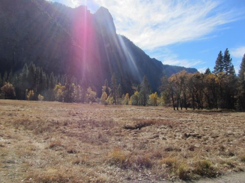 meadow