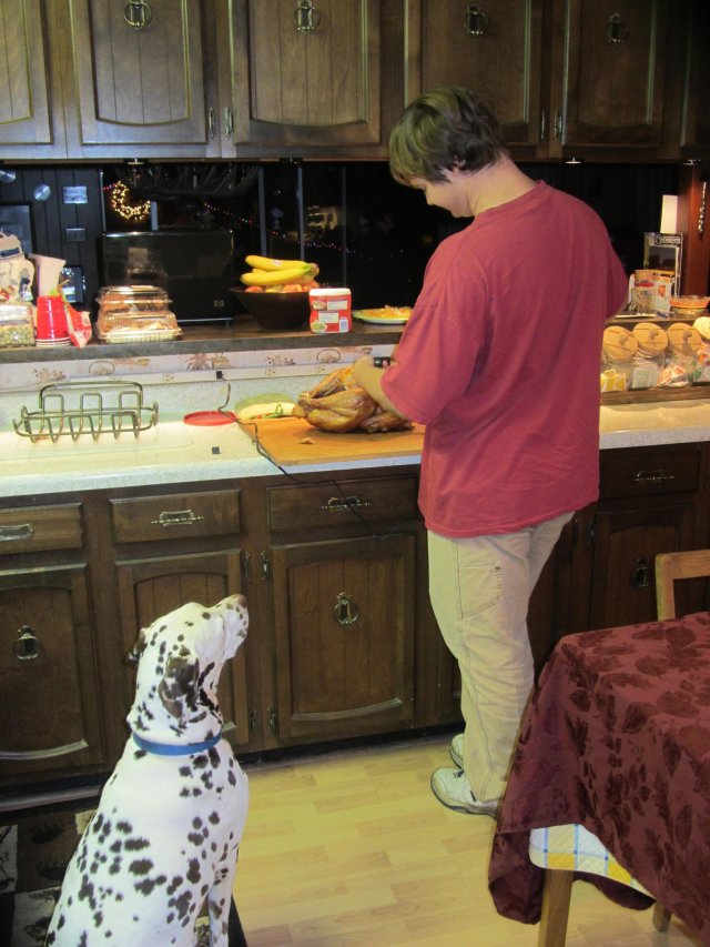 Lucky waiting for a sample
