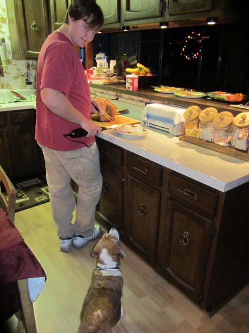 Riley waiting for a sample
