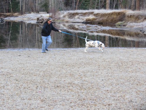 Lucky taking Jon for a drag