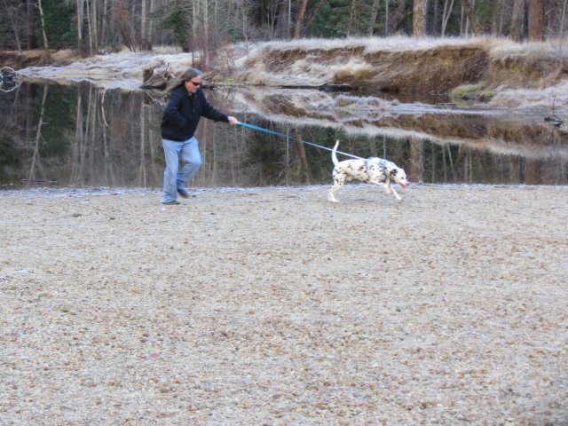 Lucky taking Jon for a drag