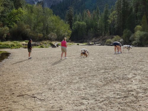 Family on beach