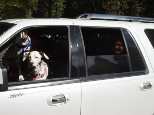 Family in car