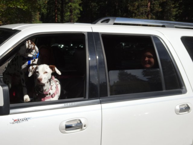 Family in car