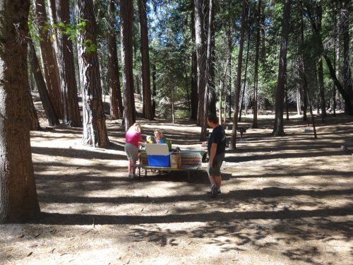 picnic site