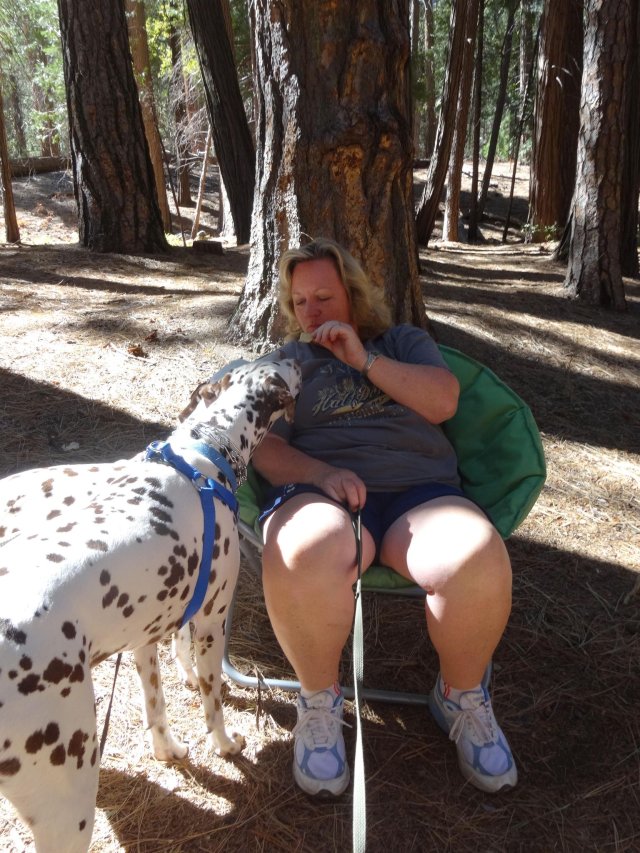 Lucky trying to share mom's lunch