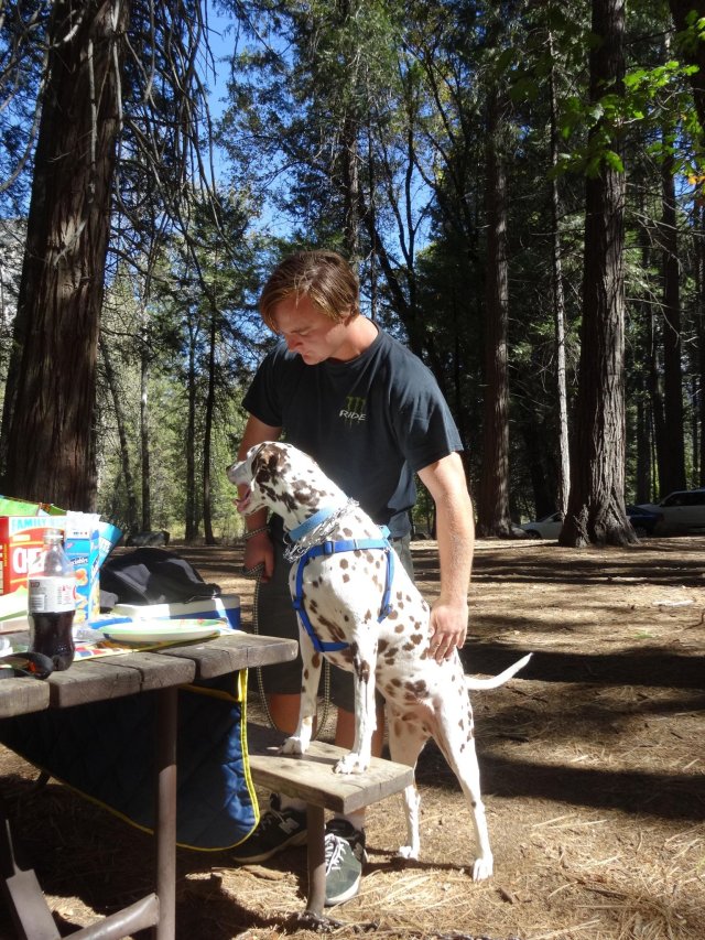 Jonny and Lucky