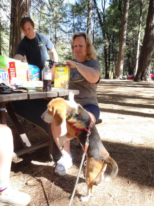 Blake looking for lunch