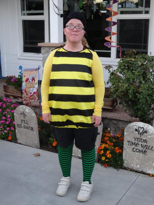 Missy the bumble bee