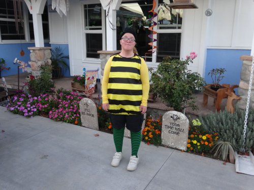 Missy the bumble bee