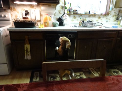 Blake investigating