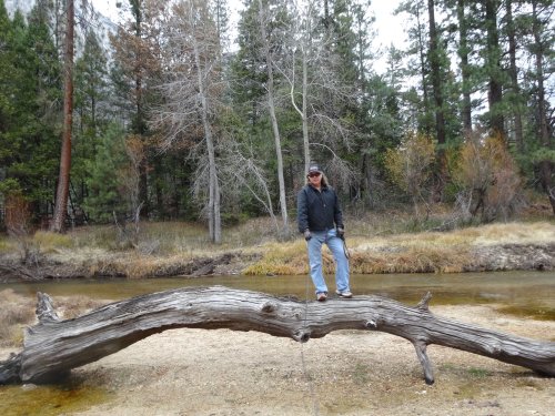 dad on log