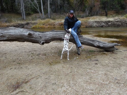 dad and Dixie
