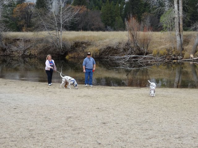Mom, Jonny and Dalmatians