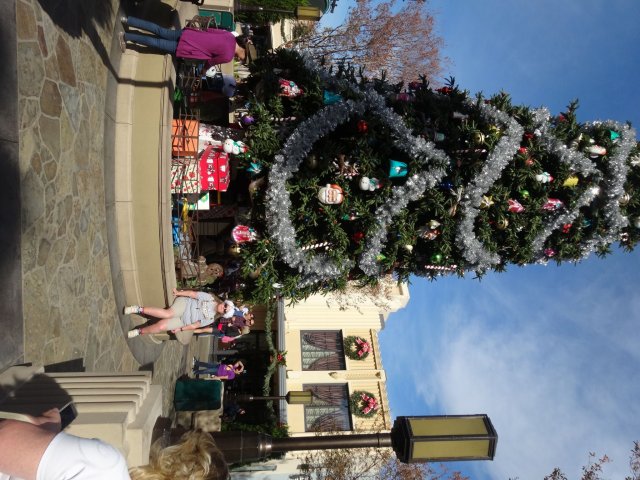 Melissa at California Adventure