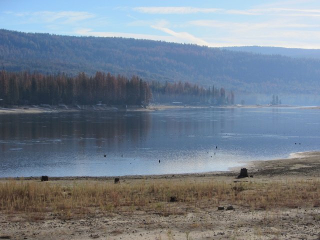 Bass Lake