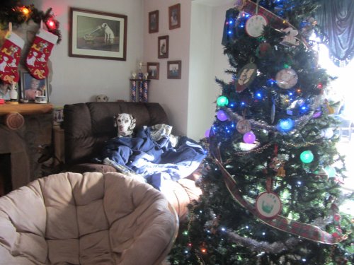 Lucky and decorations