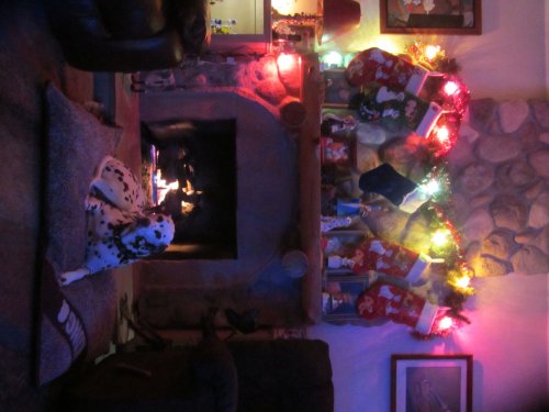 Lucky in front of the fire