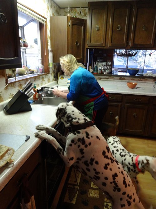 Lucky counter surfing