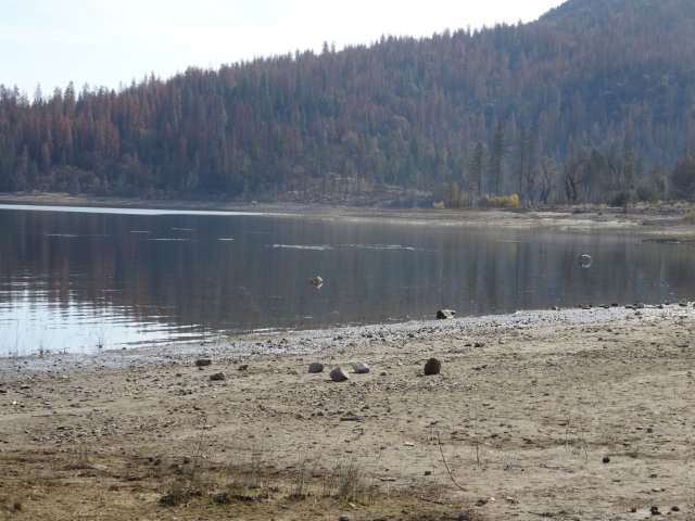 Bass Lake