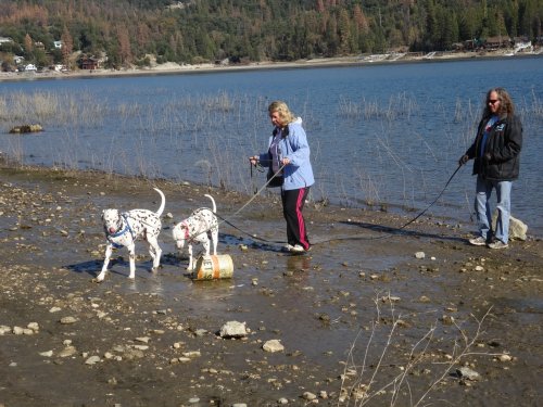 family and dogs in the mud