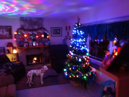 Christmas decorations in our house