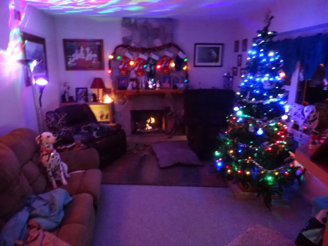 Christmas decorations in our house