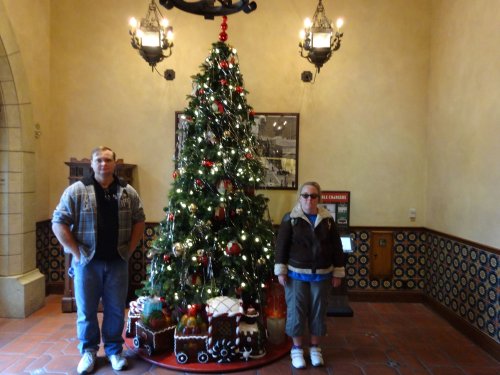 kids by tree