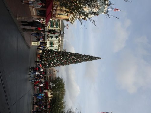 Christmas tree in Disneyland