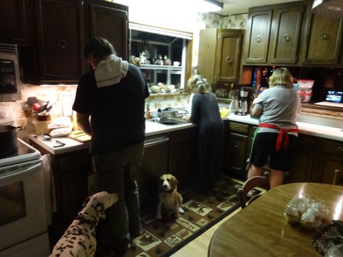 Jonny, Kim, Lori and dogs in kitchen
