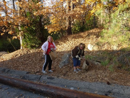 girls gathering pine cones
