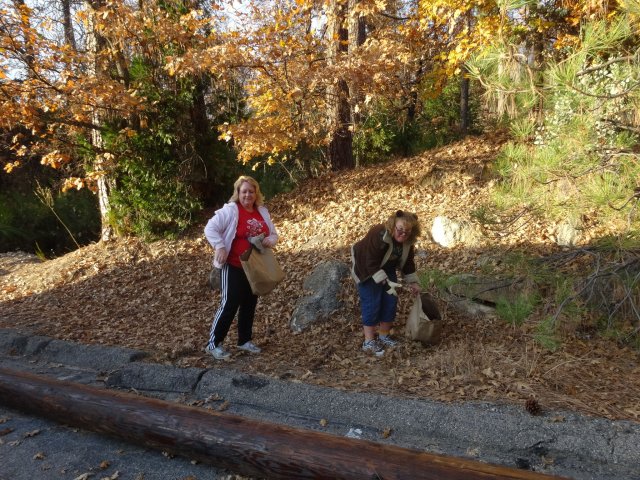 girls gathering pine cones