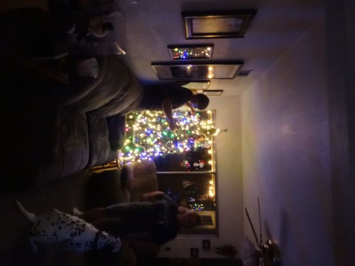 Jonny decorating tree