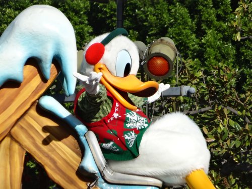 Donald