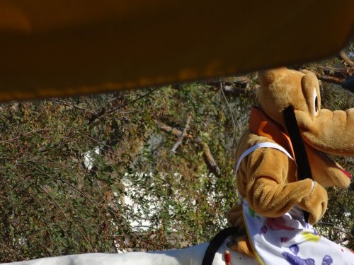 Pluto
