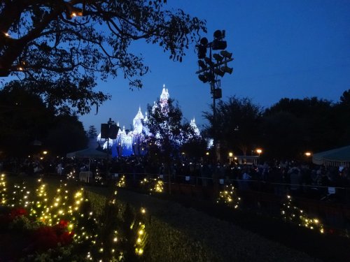 Castle