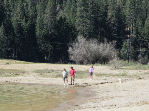 family skipping stones