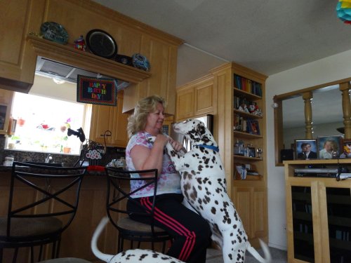 mom and Lucky
