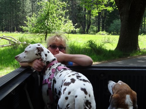 Missy, Dixie and Riley