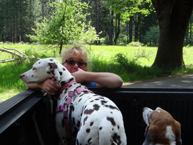 Missy, Dixie and Riley