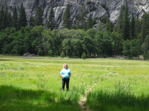 Mom in the meadow