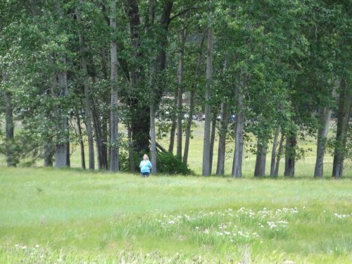 Mom in the meadow
