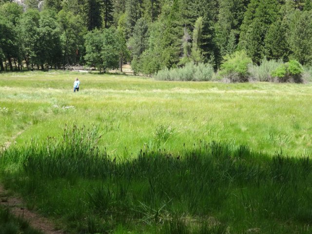 Mom in the meadow